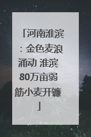 河南淮滨：金色麦浪涌动 淮滨80万亩弱筋小麦开镰