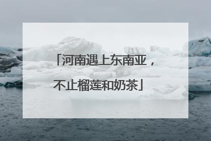 河南遇上东南亚，不止榴莲和奶茶