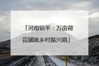 河南镇平：万亩荷花铺就乡村振兴路