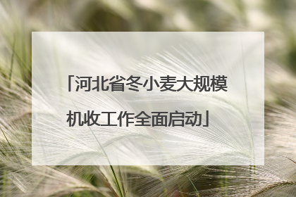 河北省冬小麦大规模机收工作全面启动