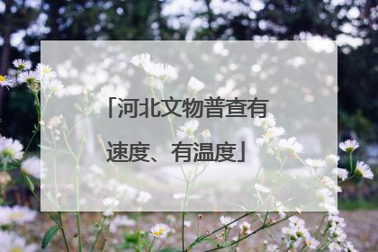 河北文物普查有速度、有温度