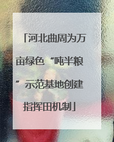 河北曲周为万亩绿色“吨半粮”示范基地创建指挥田机制