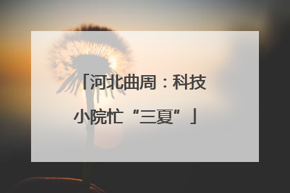 河北曲周：科技小院忙“三夏”