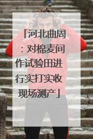 河北曲周：对棉麦间作试验田进行实打实收现场测产