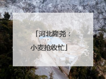 河北隆尧：小麦抢收忙