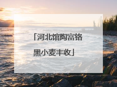 河北馆陶富铬黑小麦丰收