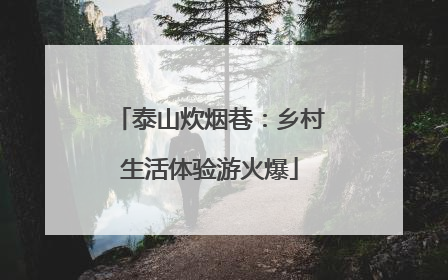 泰山炊烟巷：乡村生活体验游火爆