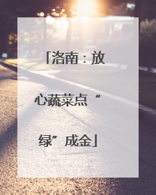 洛南：放心蔬菜点“绿”成金