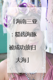 海南三亚：糙齿海豚被成功放归大海