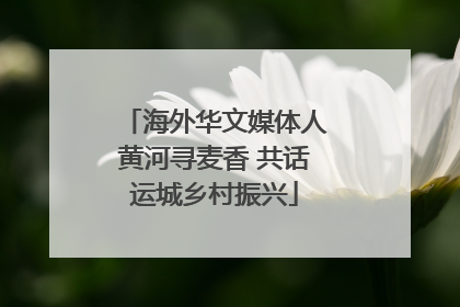 海外华文媒体人黄河寻麦香 共话运城乡村振兴