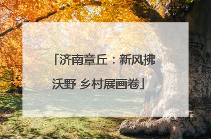 济南章丘：新风拂沃野 乡村展画卷
