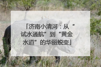 济南小清河：从“试水通航”到“黄金水道”的华丽蜕变