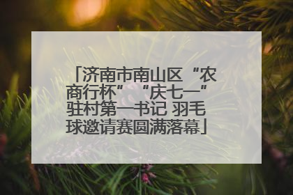 济南市南山区“农商行杯”“庆七一”驻村第一书记 羽毛球邀请赛圆满落幕