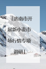 济南市开展新小麦市场行情专项调研