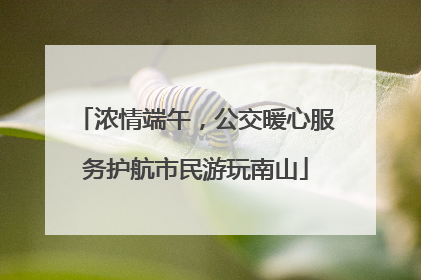 浓情端午，公交暖心服务护航市民游玩南山