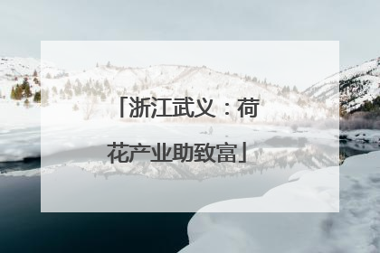 浙江武义：荷花产业助致富