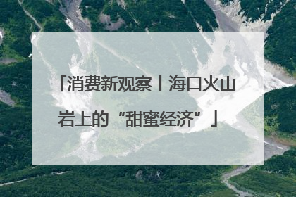 消费新观察丨海口火山岩上的“甜蜜经济”