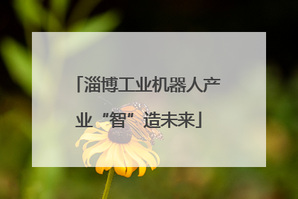 淄博工业机器人产业“智”造未来