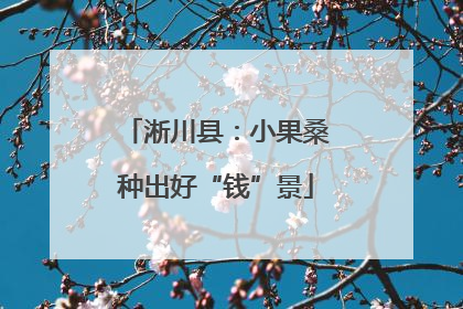 淅川县：小果桑种出好“钱”景