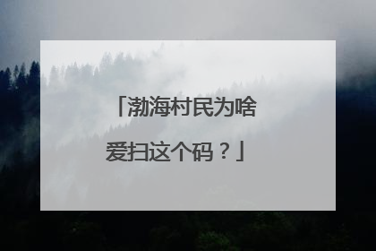 渤海村民为啥爱扫这个码？