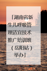 湖南省新生儿呼吸管理适宜技术推广培训班（岳阳站）举办