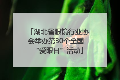 湖北省眼镜行业协会举办第30个全国“爱眼日”活动