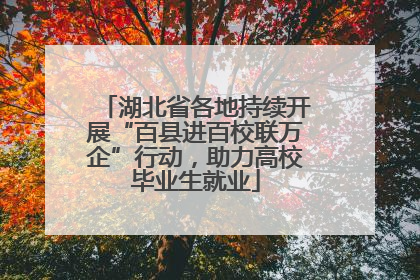 湖北省各地持续开展“百县进百校联万企”行动，助力高校毕业生就业