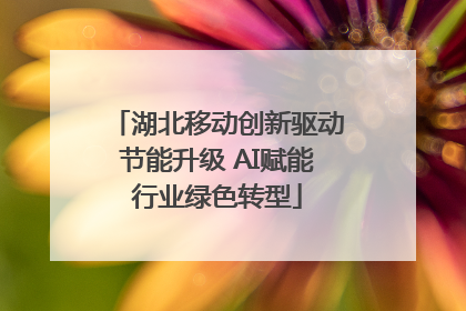 湖北移动创新驱动节能升级 AI赋能行业绿色转型