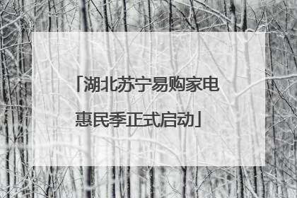 湖北苏宁易购家电惠民季正式启动