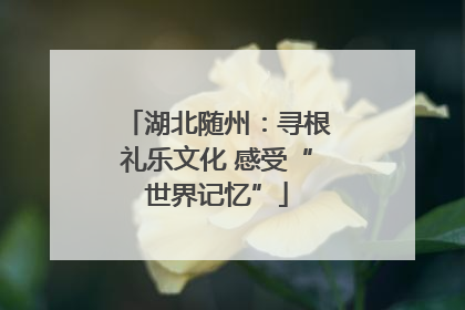 湖北随州：寻根礼乐文化 感受“世界记忆”