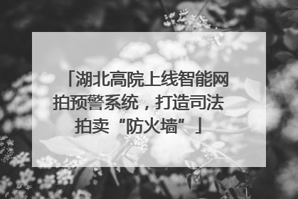 湖北高院上线智能网拍预警系统，打造司法拍卖“防火墙”