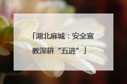 湖北麻城：安全宣教深耕“五进”