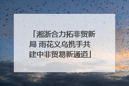 湘浙合力拓非贸新局 雨花义乌携手共建中非贸易新通道