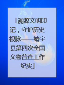 溯源文明印记，守护历史根脉——靖宇县第四次全国文物普查工作纪实