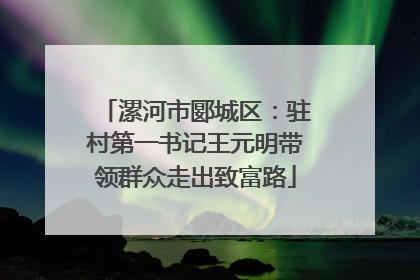 漯河市郾城区：驻村第一书记王元明带领群众走出致富路