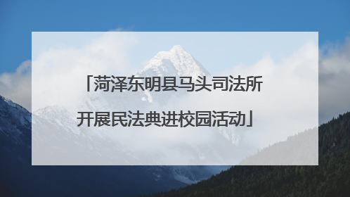菏泽东明县马头司法所开展民法典进校园活动