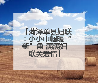 菏泽单县妇联：小小巾帼暖“新”角 满满妇联关爱情