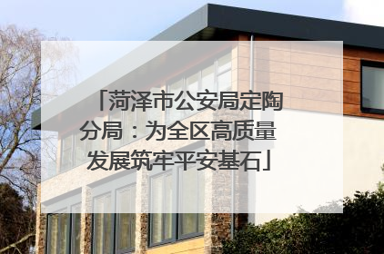 菏泽市公安局定陶分局：为全区高质量发展筑牢平安基石