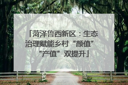 菏泽鲁西新区：生态治理赋能乡村“颜值”“产值”双提升