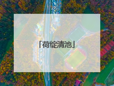 荷绽清池