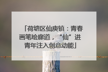 荷塘区仙庾镇：青春画笔绘廊道，“仙”进青年注入创意动能