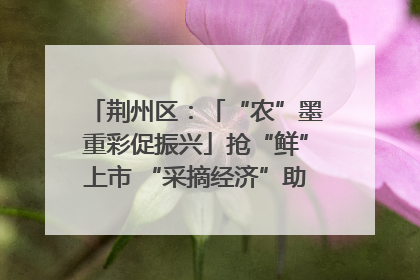 荆州区：「“农”墨重彩促振兴」抢“鲜”上市 “采摘经济”助农“甜蜜增收”