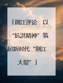 荆江评论：以“抗洪精神”筑起新时代“荆江大堤”