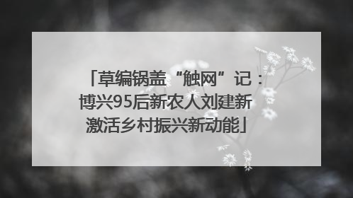 草编锅盖“触网”记：博兴95后新农人刘建新激活乡村振兴新动能