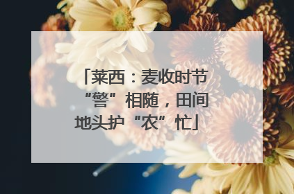 莱西：麦收时节“警”相随，田间地头护“农”忙