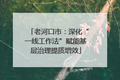 老河口市：深化“一线工作法”赋能基层治理提质增效