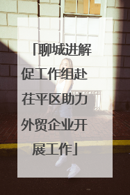 聊城进解促工作组赴茌平区助力外贸企业开展工作