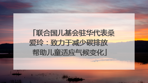 联合国儿基会驻华代表桑爱玲：致力于减少碳排放 帮助儿童适应气候变化