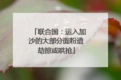 联合国：运入加沙的大部分面粉遭劫掠或哄抢