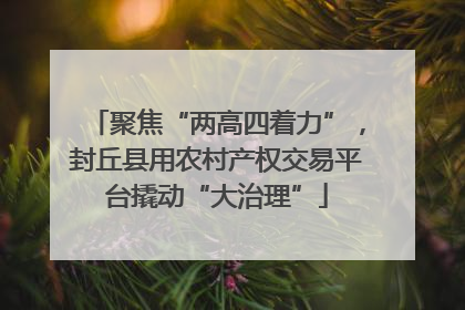 聚焦“两高四着力”，封丘县用农村产权交易平台撬动“大治理”